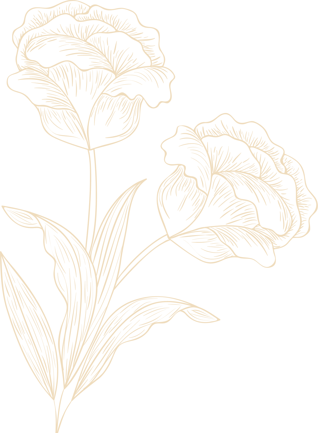 decoration