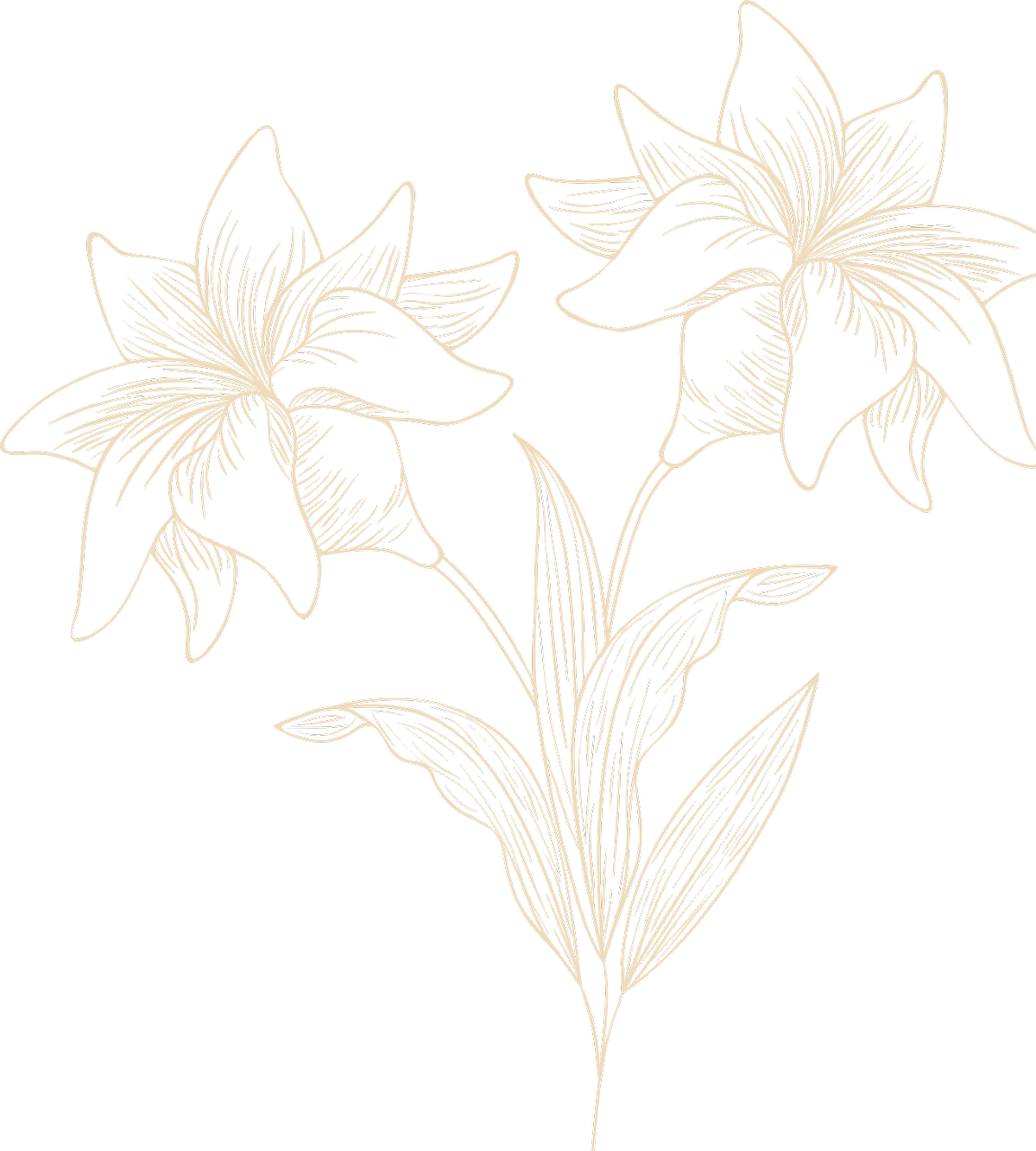 decoration