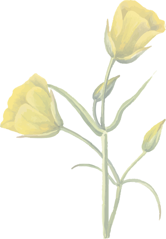 Decorative background