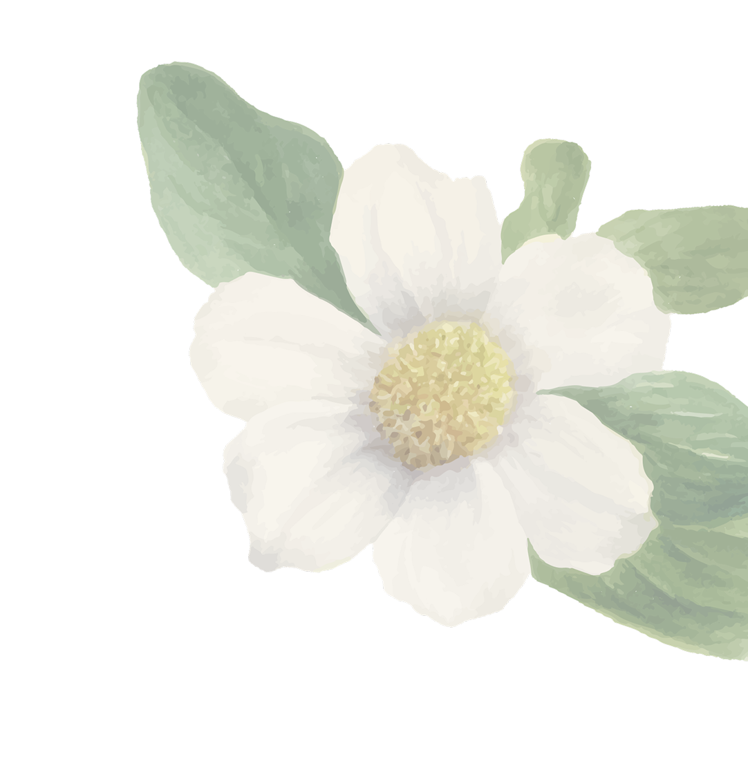 Decorative flower background